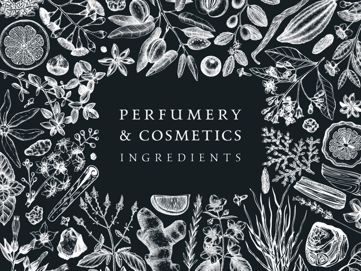 Hand drawn perfumery and cosmetics ingredients banner. Decorative background with vintage aromatic plants, fruits, spices, herbs for perfumery. Cosmetics design template. Aromatic plants on chalkboard